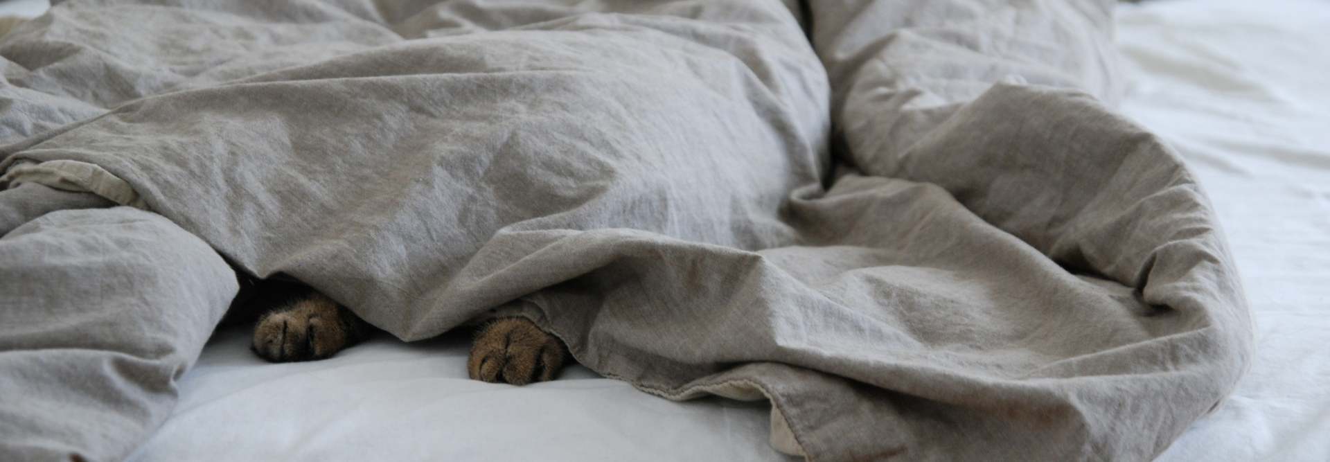 slider image slider_item_2